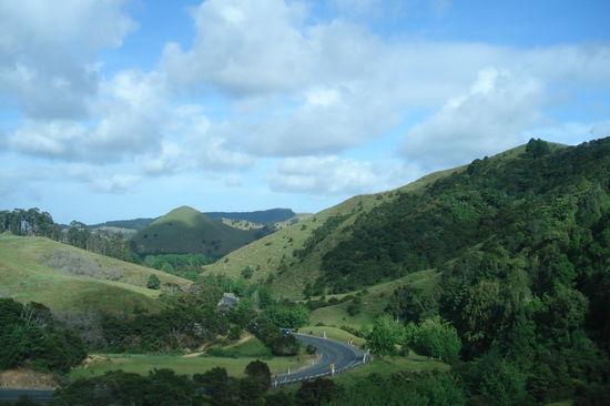 Gruen und huegelig...das ist der Norden Neuseelands!