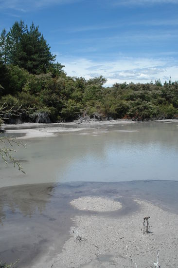 In Roturua blubbert es und sprudelt es 200 Grad heiss aus der Erde.