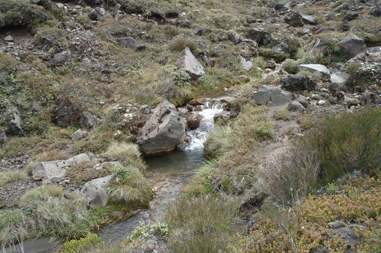 Im Tongariro Nationalpark