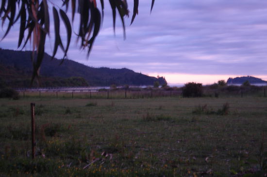 Morgendaemmerung im Nationalpark.