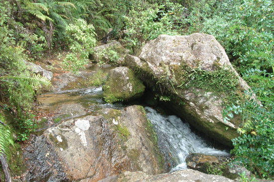 Auf unserer Wandertour im Park.