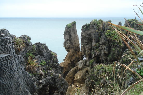 Pancake Rocks an der Westkueste Neuseelands.
