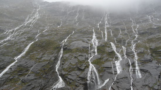 Dafuer gabs zur Entschaedigung tausende von Wasserfaellen auf dem Weg zum Milford Sound und auch im Fjord selbst. 