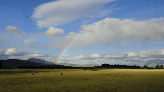 So viele Regenbogen wie hier in Neuseeland habe ich schon lange nicht mehr gesehen! 
