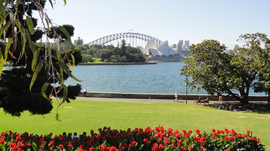 Sicht vom Botanischen Garten: Habour Bridge und Operahouse