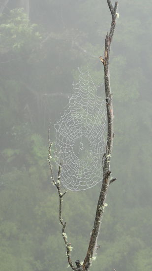 Ausflug in die Blue Mountains!!