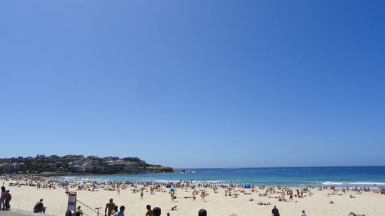 Ab zu Sydneys beruehmtesten Strand! Bondi Beach