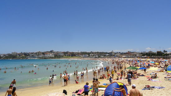 Sehen und gesehen werden!!