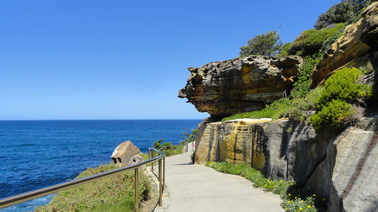 Coastal Walk: 1 stuendiger wunderschoener Spaziergang an Sydneys Kueste...