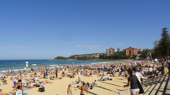 Am Strand von Manly Beach.