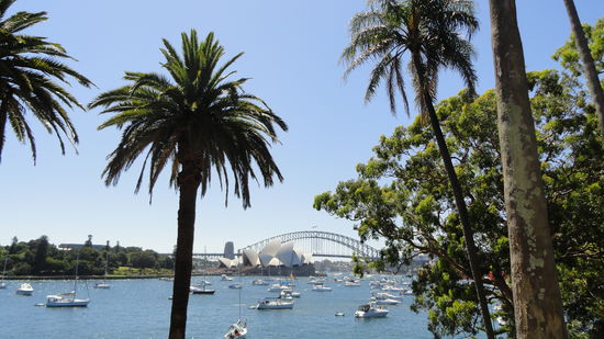 Unser Blick vom Botanischen Garten aus am 31. Dezember.