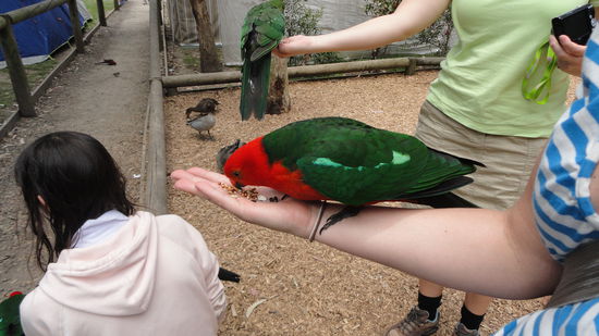 Auf gehts zur Vogelfuetterung!
