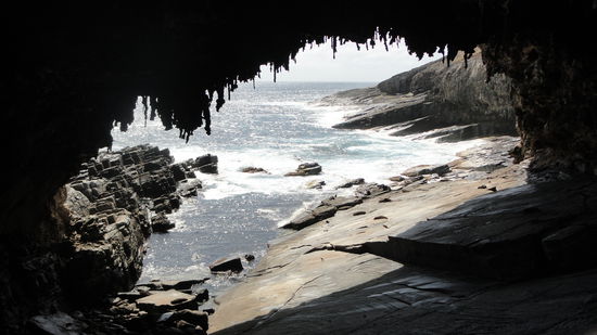 "Admiral Arch" mit vielen Seehunden