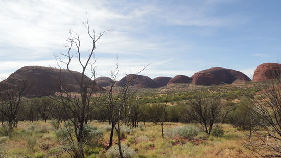 Wandern in den Olgas! Wenn nur nicht die vielen Fliegen gewesen waeren...