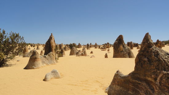Die Pinnacles sind bis zu 4 Meter hohe bizarrgeformte Kalksteinsaeulen.