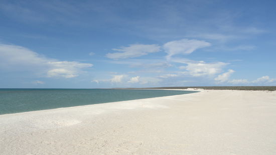 Der weisse Strand "Shell Beach" ist nicht wegen den Sandkoernern so weiss, sondern weil der ganze Boden mit vielen weissen kleinen Muscheln bedeckt ist. Hab so was noch nie gesehen - echt witzig! 