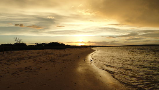 Sonnenuntergang am Strand von Monkey Mia.