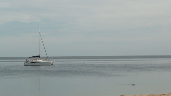 Zwischen Boot und Strand naeht sich ein Delfin. Vielleicht sogar der, den ich spaeter fuettern durfte...