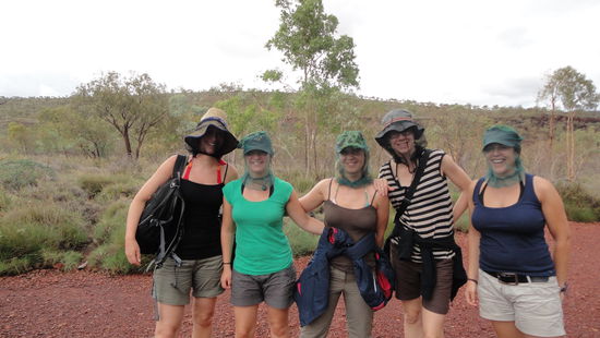 Fesch, fesch dieses Fliegennetz, oder?...