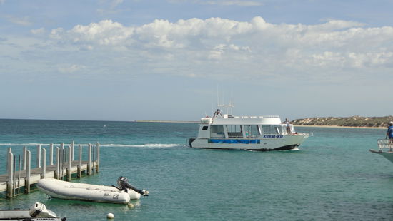 Unser Boot zum Ningaloo Reef. Da ich aber leider keine Unterwasserkamera habe, kann ich euch leider nicht mit Bildern von Meeresschildkroeten etc. begluecken...