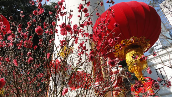 Dekoration zum Chinesischen Neujahrsfest!