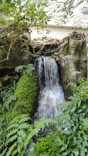 Ein Wasserfall im Hong Kong Park, der mitten im Zentrum liegt.