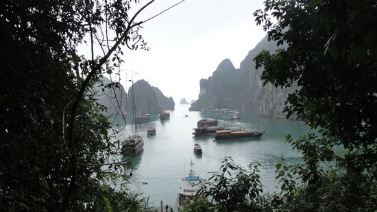die traumhafte Halong Bay liegt im Norden Vietnams und ist 1500 km² gross.