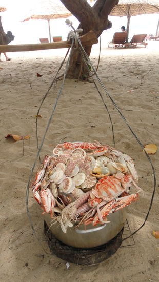 Leider nicht unser Korb 