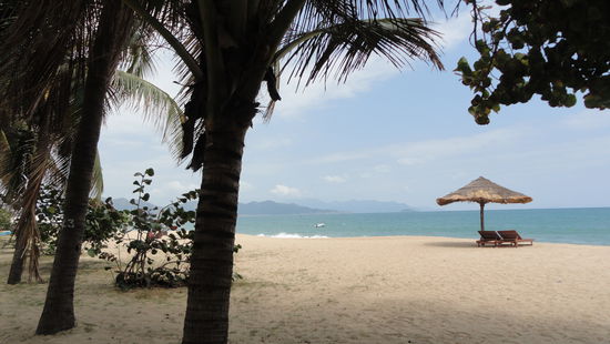 Palmengesaeumter Strand! Einfach herrlich!!!