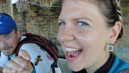 Mmmmhhh lecker diese Grasshuepfer....