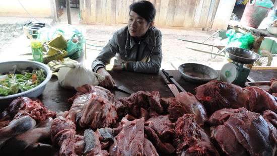 Auf dem Markt! 
Hier wurde eine Kuh geschlachtet. Alles wird hier verwertet von der Zuge bis zum Blut...