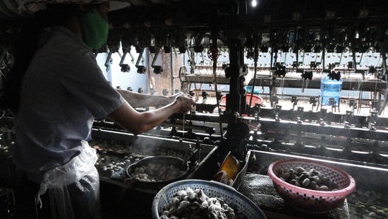 Mit dieser Maschine werden feine Seidenfaeden von dutzenden Kokons zusammengezogen und daraus wird dann ein robuster Faden.