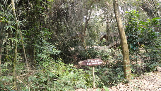 Ueberall um die Tunnel herum befinden sich Bombenkrater.