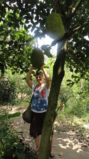 ganz schoen riesig diese Jackfruit