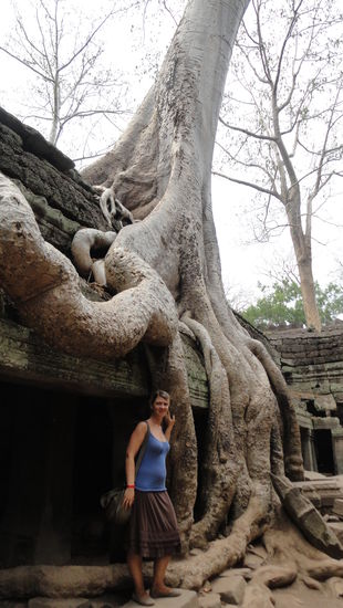 Im Tempel Ta Phrom