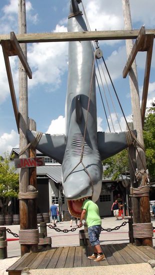 und nochmal hat es einen erwischt