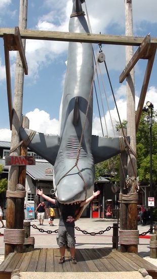 der Letze hat sich sogar angeboten