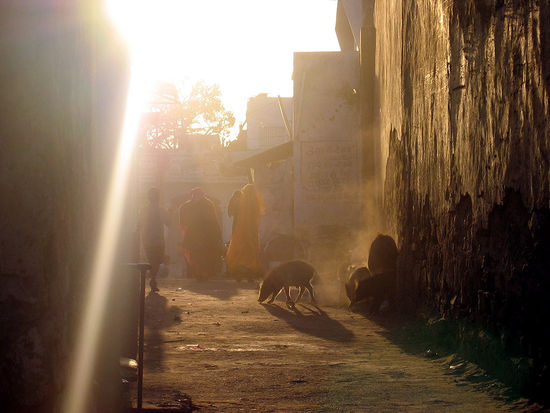 Und Farben in den Schatten. Seht selbst.