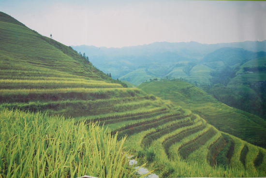 So soll es aussehen, wenn das Wetter mitspielt.