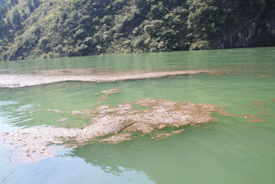 So jetzt stellt euch noch Plastikflaschen, Badelatschen, Styroporstücke und Pappbecher usw vor. 
Und Lust auf solch eine Reise bekommen?