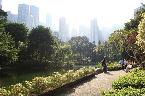 Kleiner Zwischenstop im Hongkong Park. Goldfischis im Teich und Vögelgezwitscher, man könnte vergessen das man in einer Großstadt ist, wenn nicht die ganzen Hochhäuser wären. Andere Stadte sollten sich mal ein Beispiel daran nehmen.