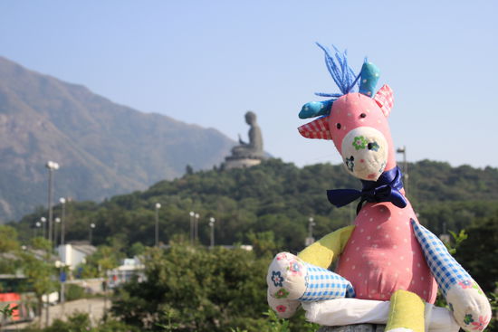 Fred durfte heute auch mal wieder mit.