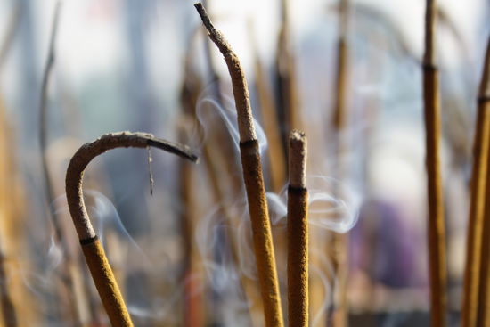 Es gibt eine kleine Insel im See, wo ein Tempel ist.