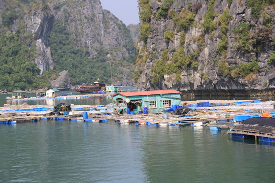 Vorbei an Muschelfarmen.