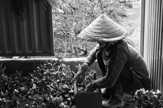 alles noch Handarbeit.