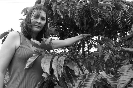 Kaffeeplantage. Auch hier, alles noch Handarbeit.