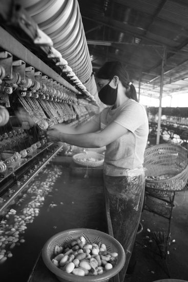 Seidenfabrik. Die kleinen, ovalen Dinger sind Seidenwürmer. Die kochen dann ein bißchen und dann gewinnt man den Seidenfaden.
