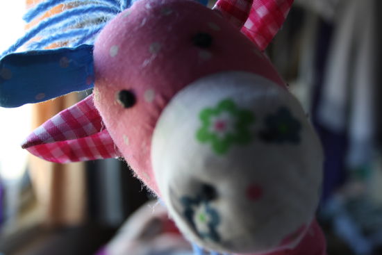 Fred drängelt sich gerne vor.