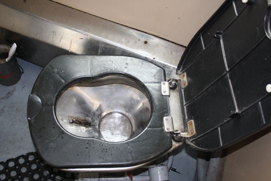 schön, nicht wahr? Toilette war sogar mit Fenster. Hat heutzutage ja nicht mal mehr jede Wohnung.