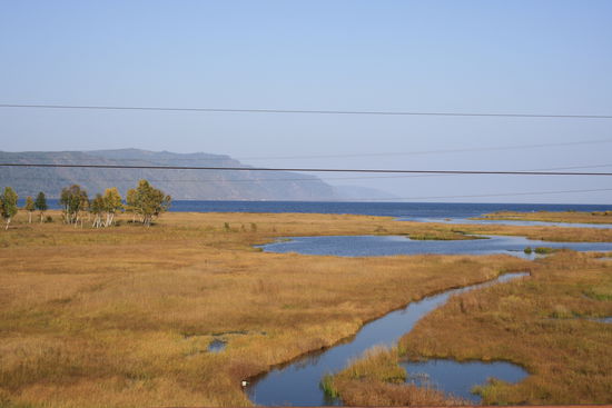 So sieht es hier aus, überall Birken. Der normale Zug ist überfüllt und die Haltestellen als solche nicht immer zu erkennen.